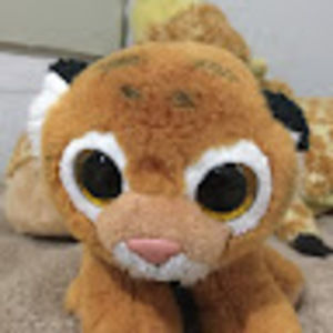 Meet your Posher, Mikal